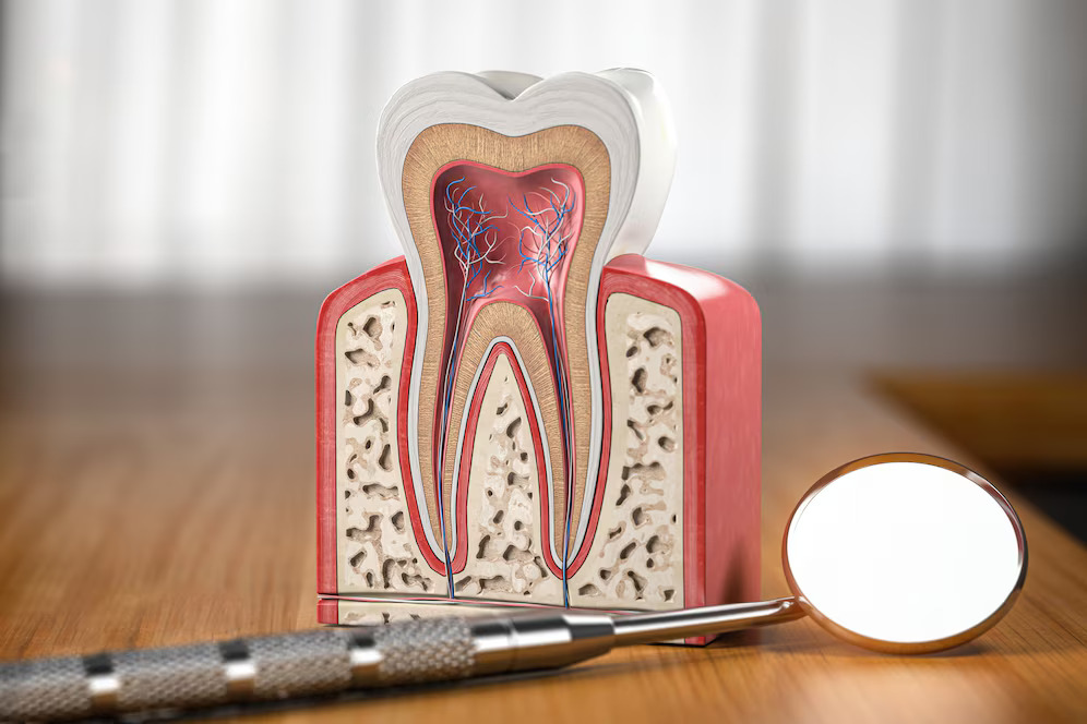 Can A Root Canal Be Done on a Cracked Tooth?